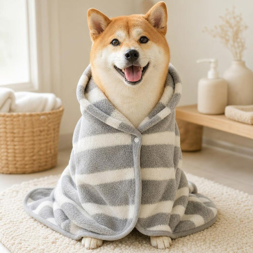 Shiba inu feliz envuelto en su albornoz tras el baño